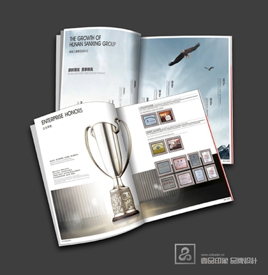 磊洋 机械画册设计 企业形象宣传设计 专业提供企业品牌策划