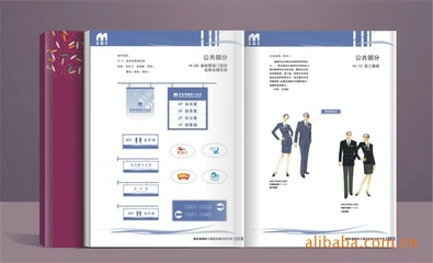 企业视觉形象提升和设计 企业文化策划 VI设计手册图片