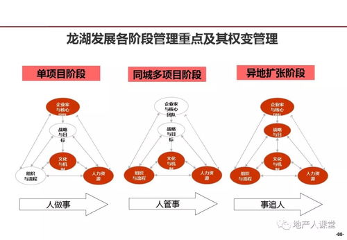 管理 龙湖企业管理与运营精细化管理